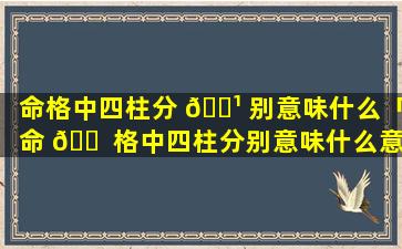 命格中四柱分 🌹 别意味什么「命 🐠 格中四柱分别意味什么意思」